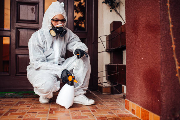 Reliable Bed Bug Control contractor in Plainfield Village, CT by Nex Pest Control