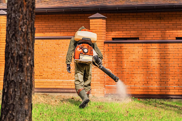 Trusted Ant Control service in Plainfield Village, CT - Nex Pest Control